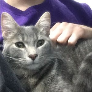 Meet your Posher, Zachary